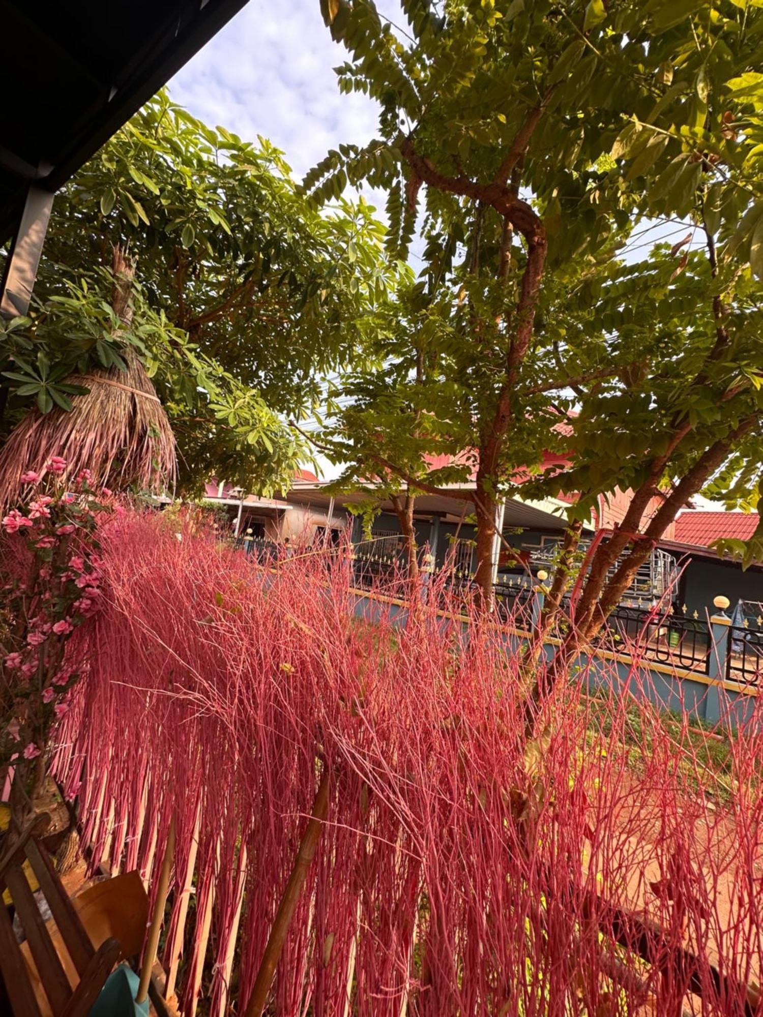 Heaven Guesthouse Pakse Dış mekan fotoğraf